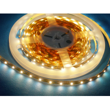 Kingunionled CE & RoHS High Lumens SMD Boa qualidade e bom preço branco 3528 flexível levou tira